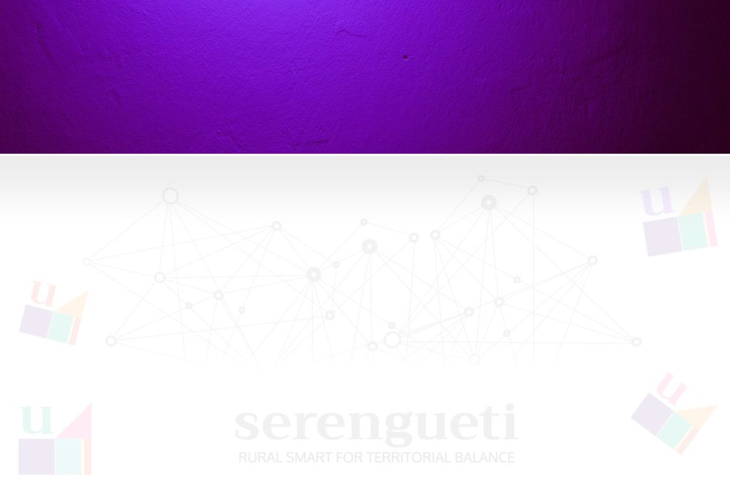 serenguetiruralsmart.es