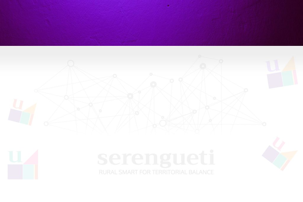 serenguetiruralsmart.es