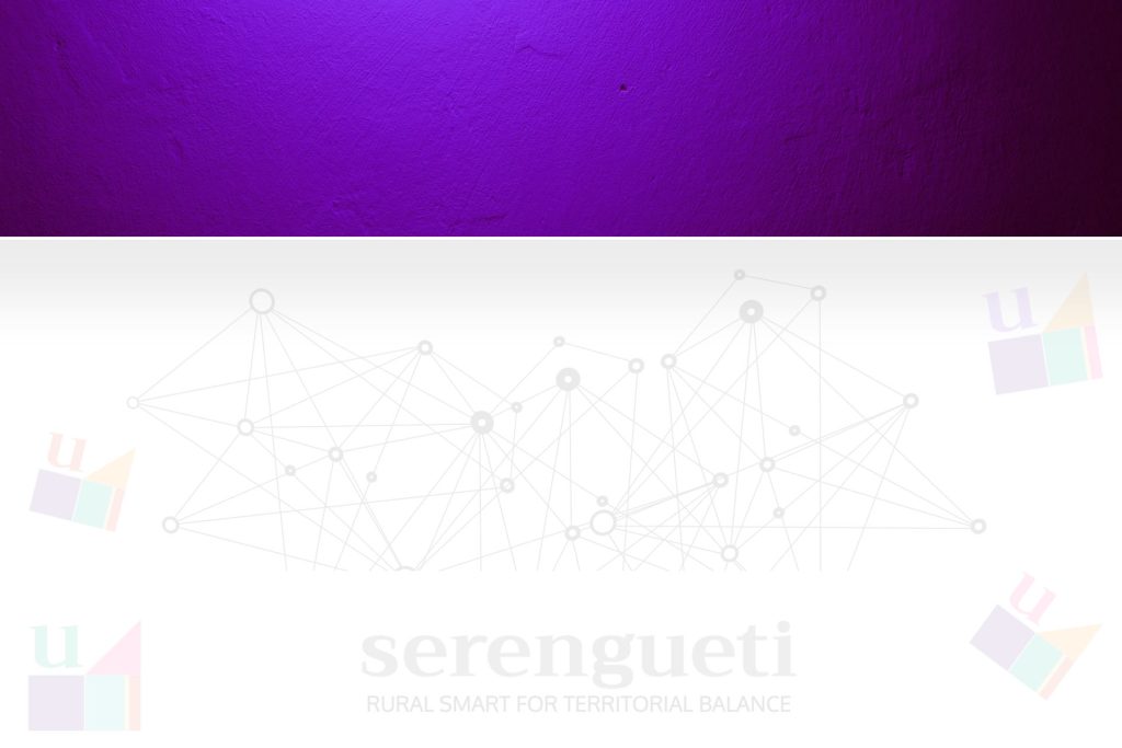 serenguetiruralsmart.es
